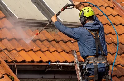 Démoussage et hydrofuge de toiture à Auflance